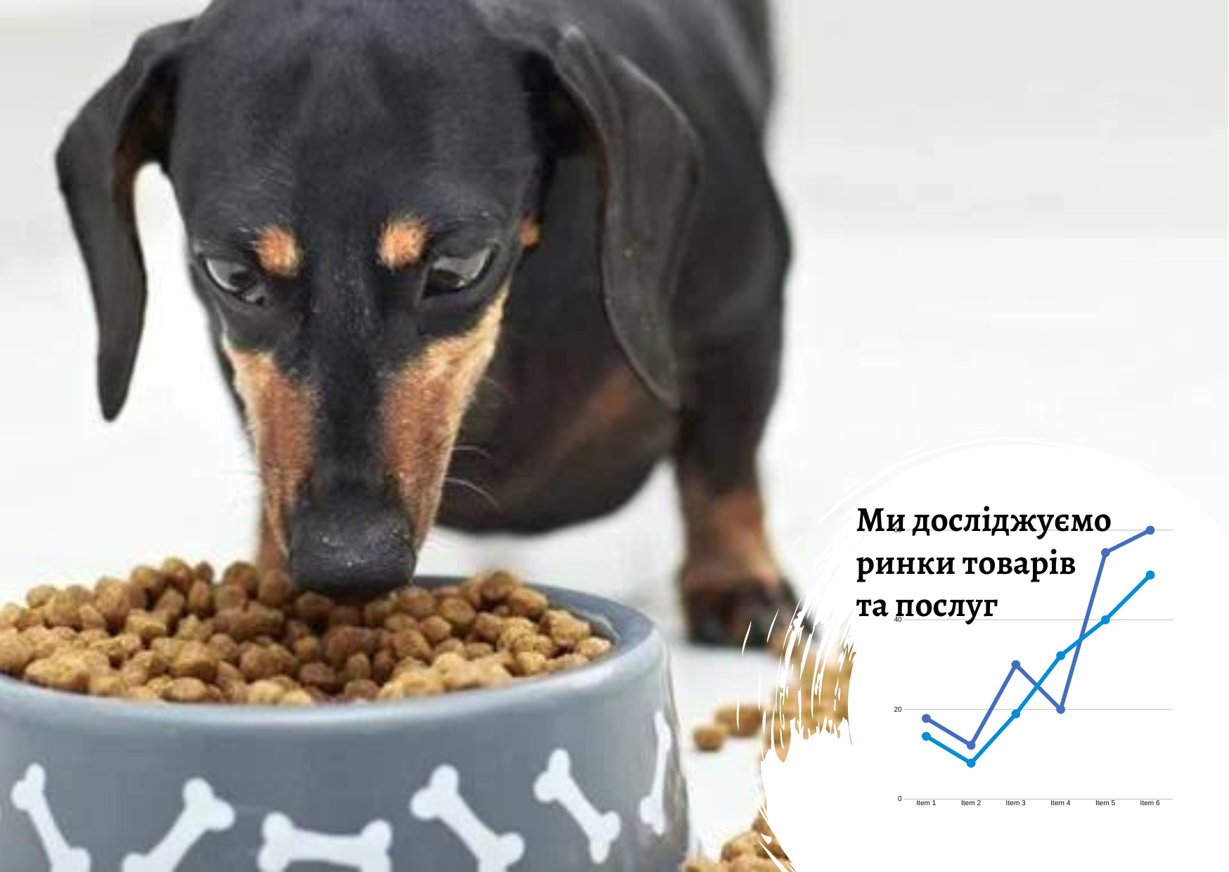 Ринок корму для собак в Україні: на улюбленцях не економлять